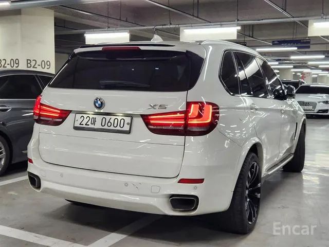 X5 (F15) xDrive 30d Vision 100