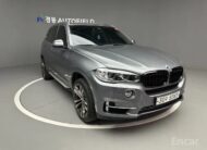 X5 (F15) xDrive 30d