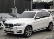 X5 (F15) xDrive 30d