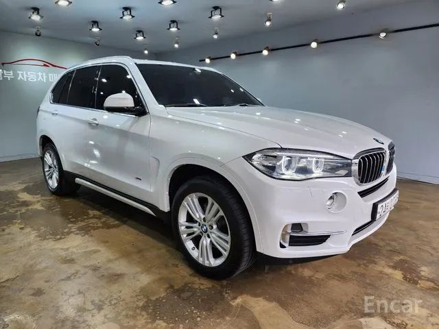 X5 (F15) xDrive 30d